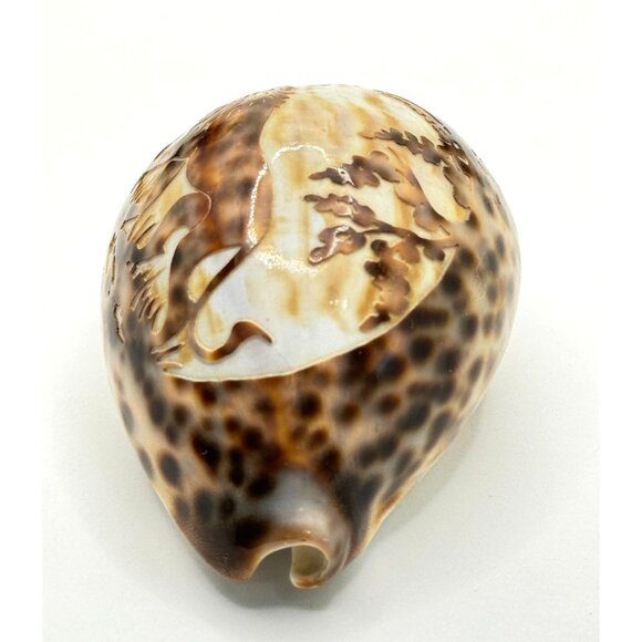 Vintage Souvenir Carved Spotted Cowrie Shell With African Lion Motif - Picture 2 of 8